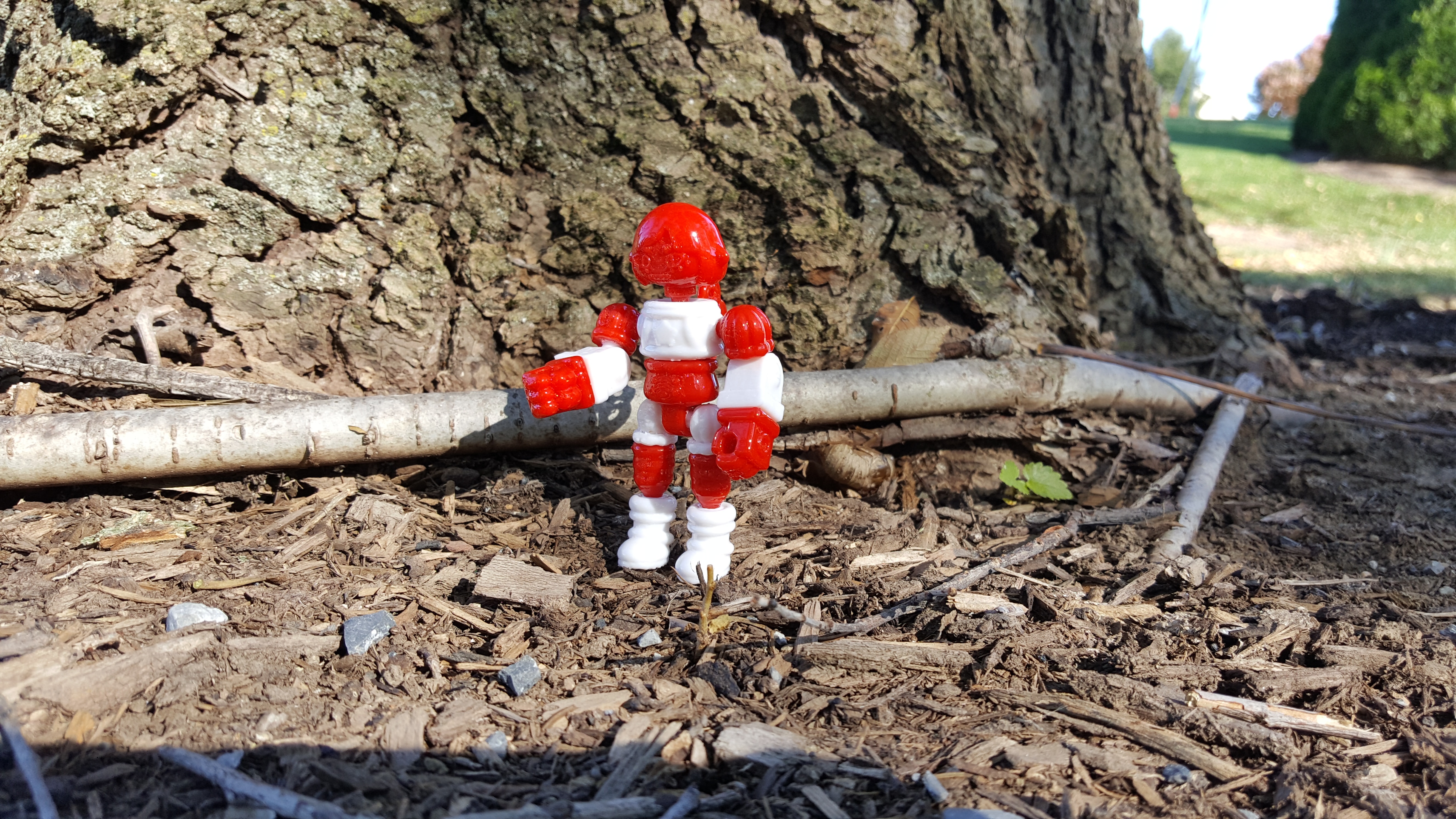 Wonder Witch Peppermint – $34.00