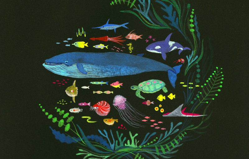 Circle of Life Print (Second Edition) by apak