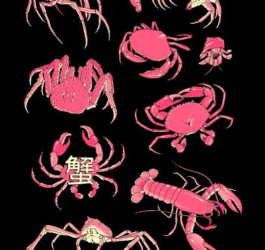 crab by Choo