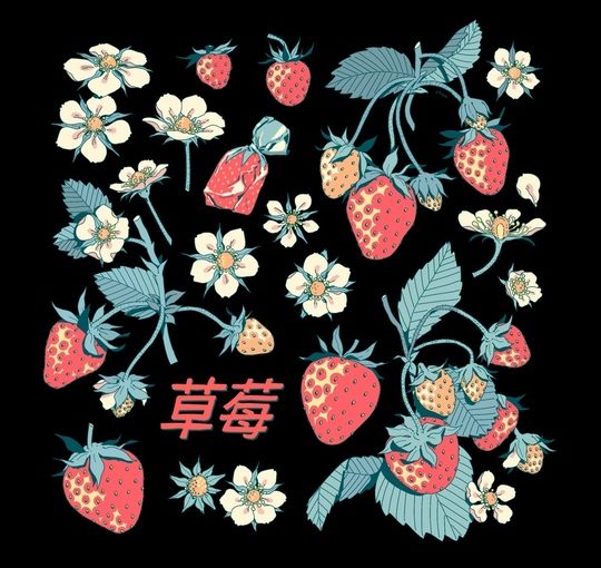 strawberry by Choo